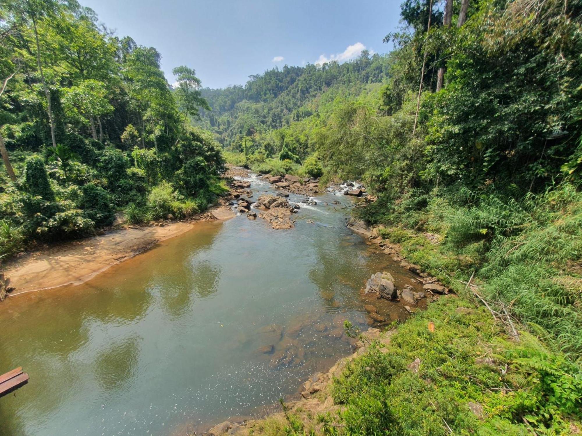 Rainforest River Bay Deniyaya Exterior foto